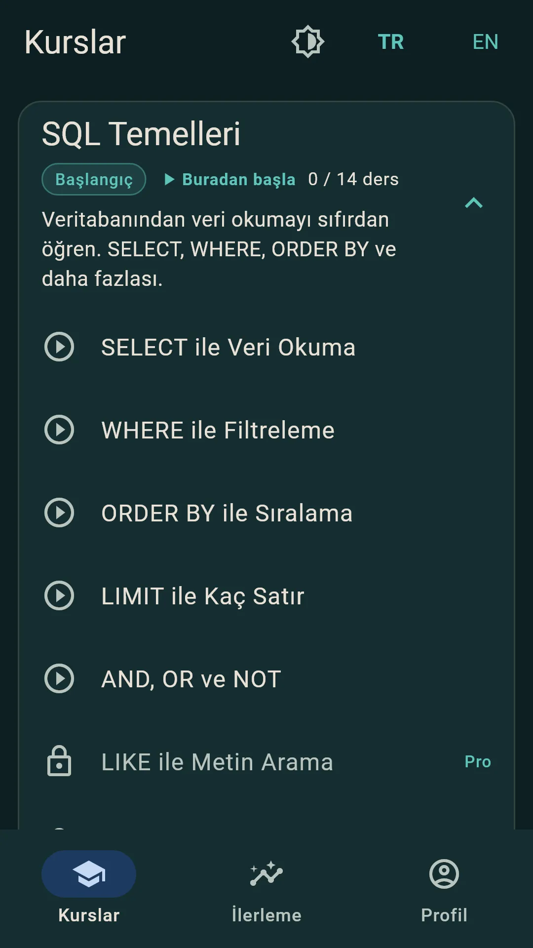 Kurs listesi — SQL Temelleri açık, dersler tek tek listeleniyor; ücretli derslerde kilit ve Pro rozeti var